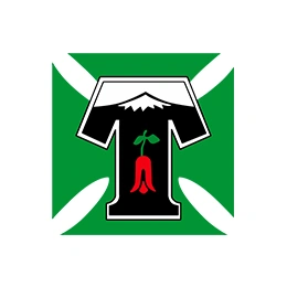 LOGOS WEBSITE_0013_FAVICON CDT-03
